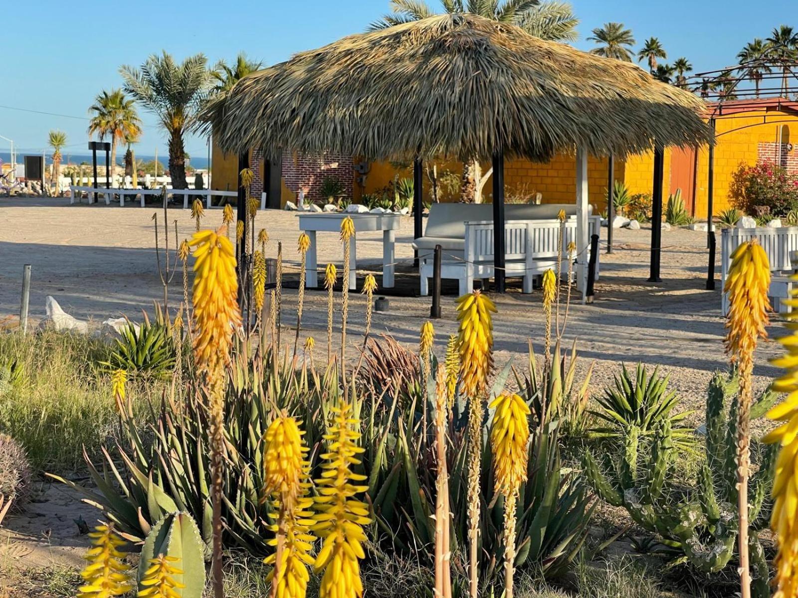 Hotel Las Palmas San Felipe  Esterno foto