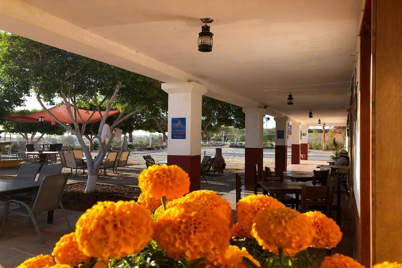 Hotel Las Palmas San Felipe  Esterno foto